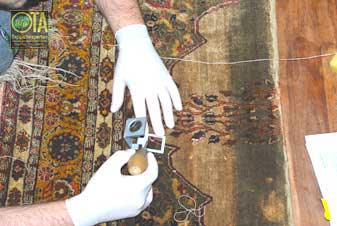 Fachmann schaut mit Lupe den Zustand des antiken Teppichs