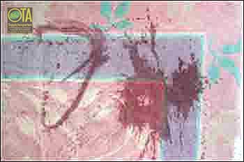 Rotweinflecken im Teppich sind häufig Haftpflichtschaden